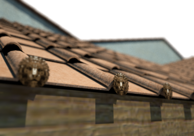 shadow.png