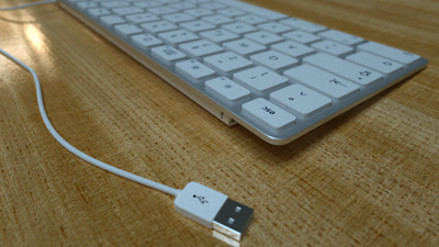 applekeyx1.png